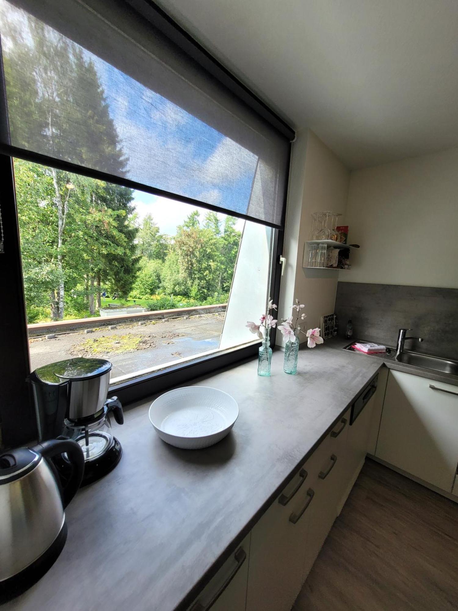 Winterberg Appartement 21097 Екстер'єр фото