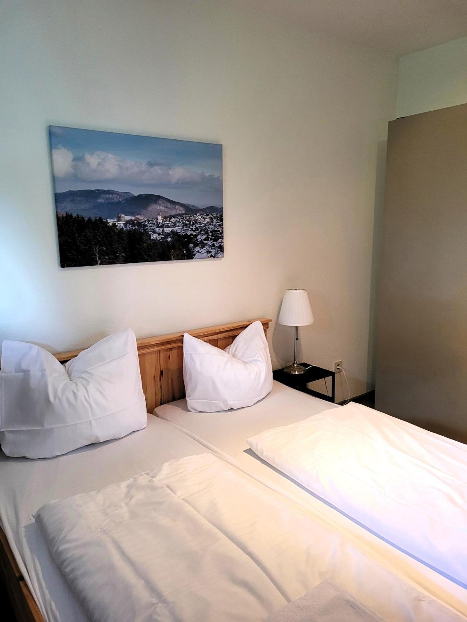 Winterberg Appartement 21097 Екстер'єр фото