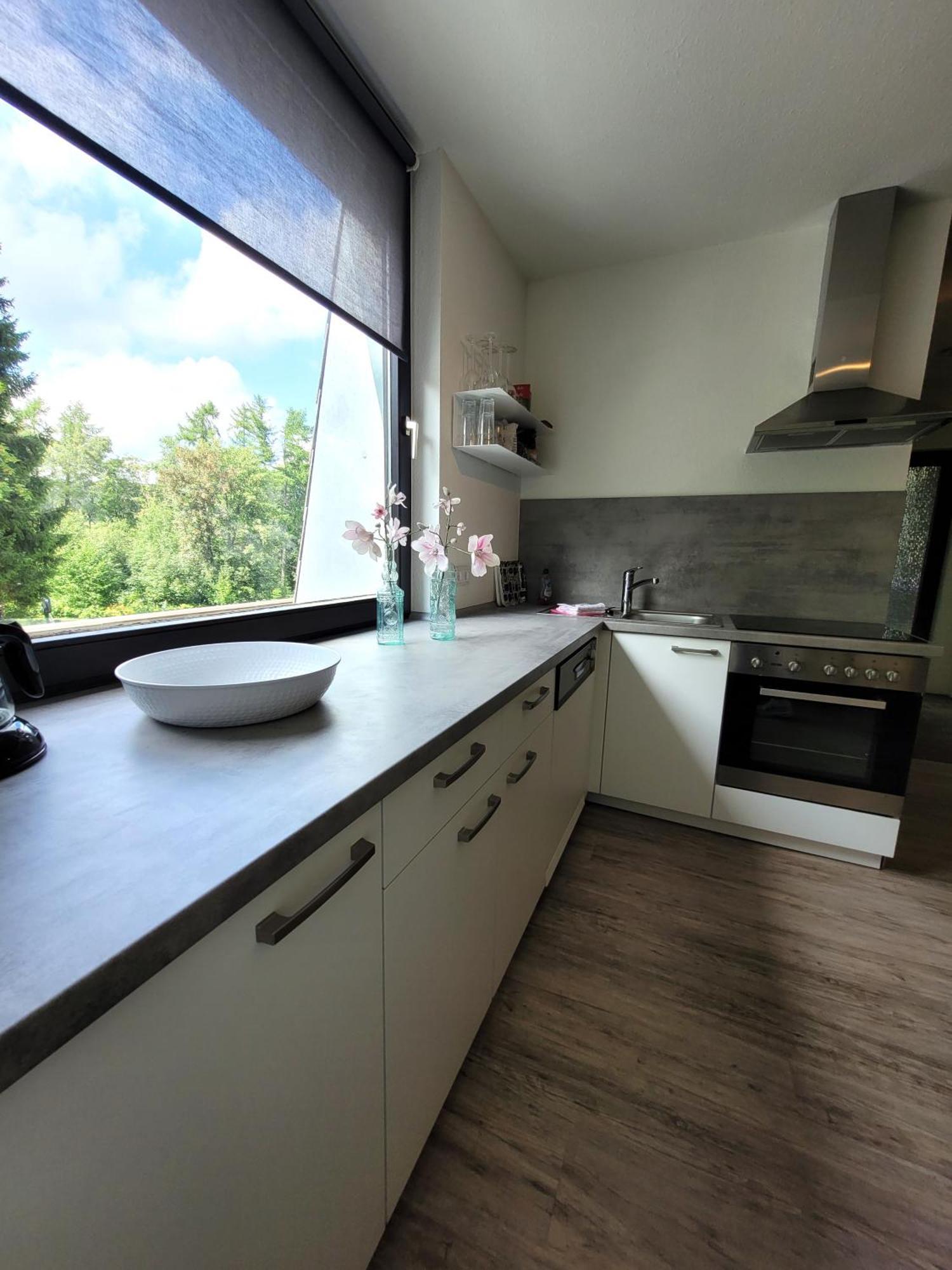 Winterberg Appartement 21097 Екстер'єр фото