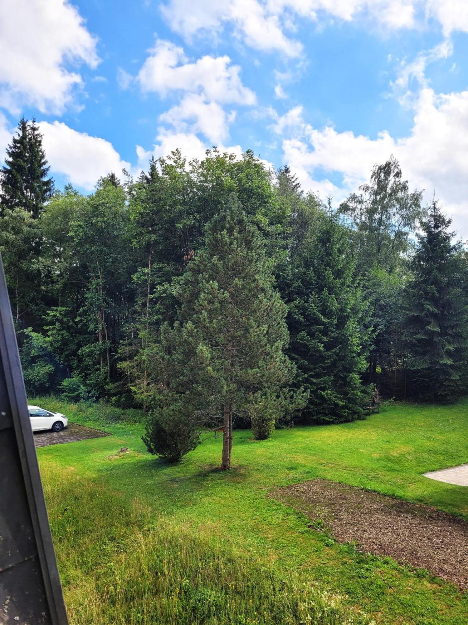 Winterberg Appartement 21097 Екстер'єр фото